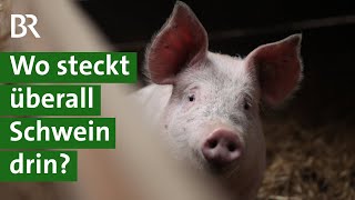 Gelatine, Zahnpasta, Apfelsaft: In welchen Alltagsgegenständen ist Schwein enthalten? | Unser Land