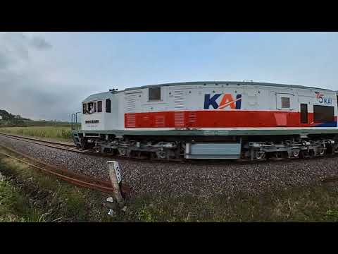 AKSI KEREN MASINIS SAAT NGEBUT