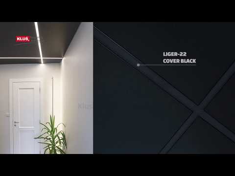 KLUS LLC - matte black LIGER-22 cover