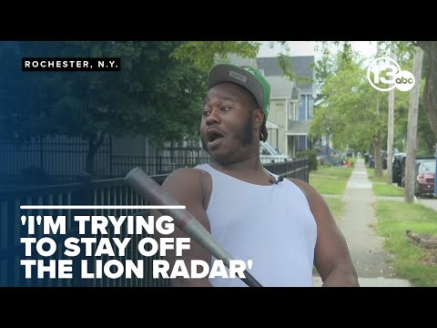 RAW: Man reacts to apparent mountain lion sighting in Rochester