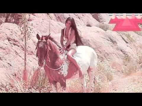 Cher: Half-Breed (Lyrics)