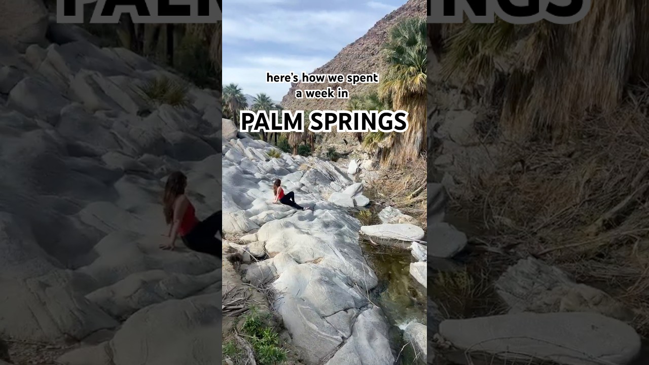 Top Things to Do in Palm Springs, California - Mini Guide #travel #california #palmsprings