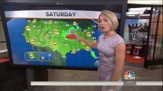 Dylan Dreyer - tight silver dress and high heels - August 14, 2014