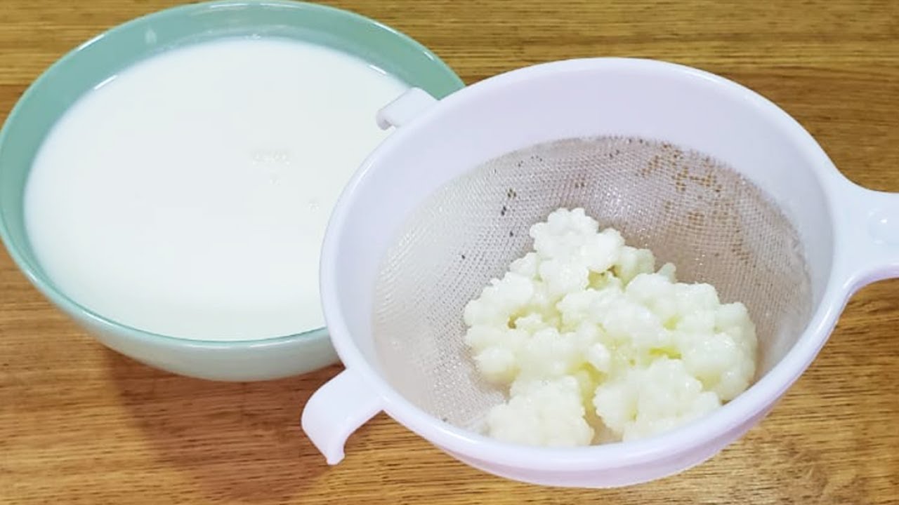 Como Fazer KEFIR CERTO para o Máximo de Benefícios - Receita e Dicas