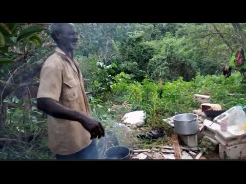 Jamaica vibes***next gully bop