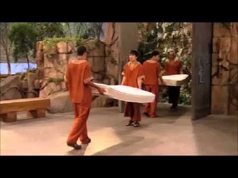 Pair Of Kings [30 second clip] - The Cheat Life Of Brady And Boomer
