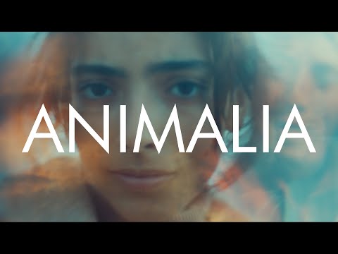 Animalia