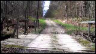 preview picture of video 'Labradoodle Run - Winona State Forest'