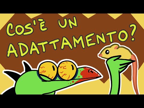 Adattamento e TOPI MORTI