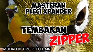 Download lagu MASTERAN PLECI XPANDER TEMBAKAN ZIPPER TERBARU 2022 mp3 Download lagu MASTERAN PLECI XPANDER TEMBAKAN ZIPPER TERBARU 2022 mp3