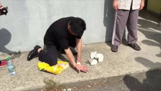 Nei Qi Gong - Shifu Zhou Gan Shen