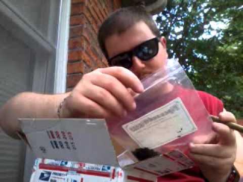 PIPE AND BACCY BOMB YABO!!!