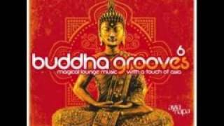 Buddha Grooves- Faro -the pursuit of beauty