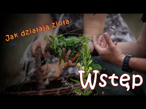 Jak działają zioła - odc. 0 - Wstęp