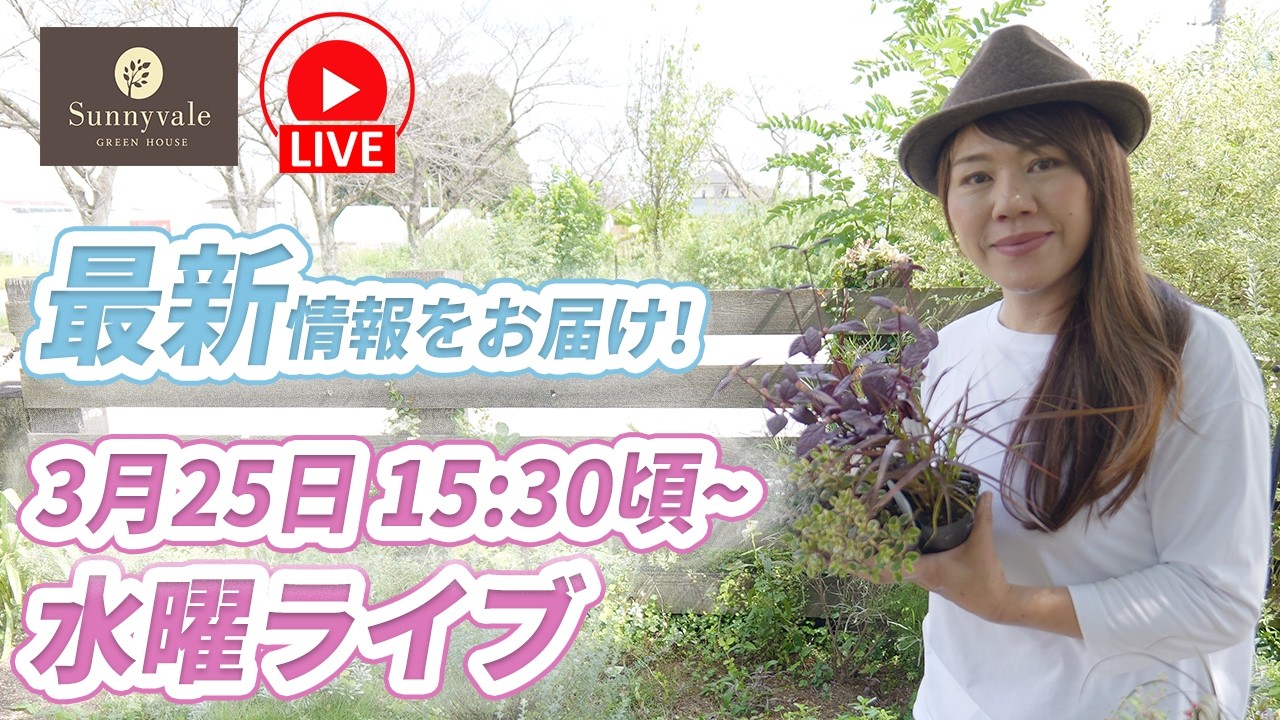 3\25水曜ライブ！園芸情報！PW登場　お花の飾り方の補足！