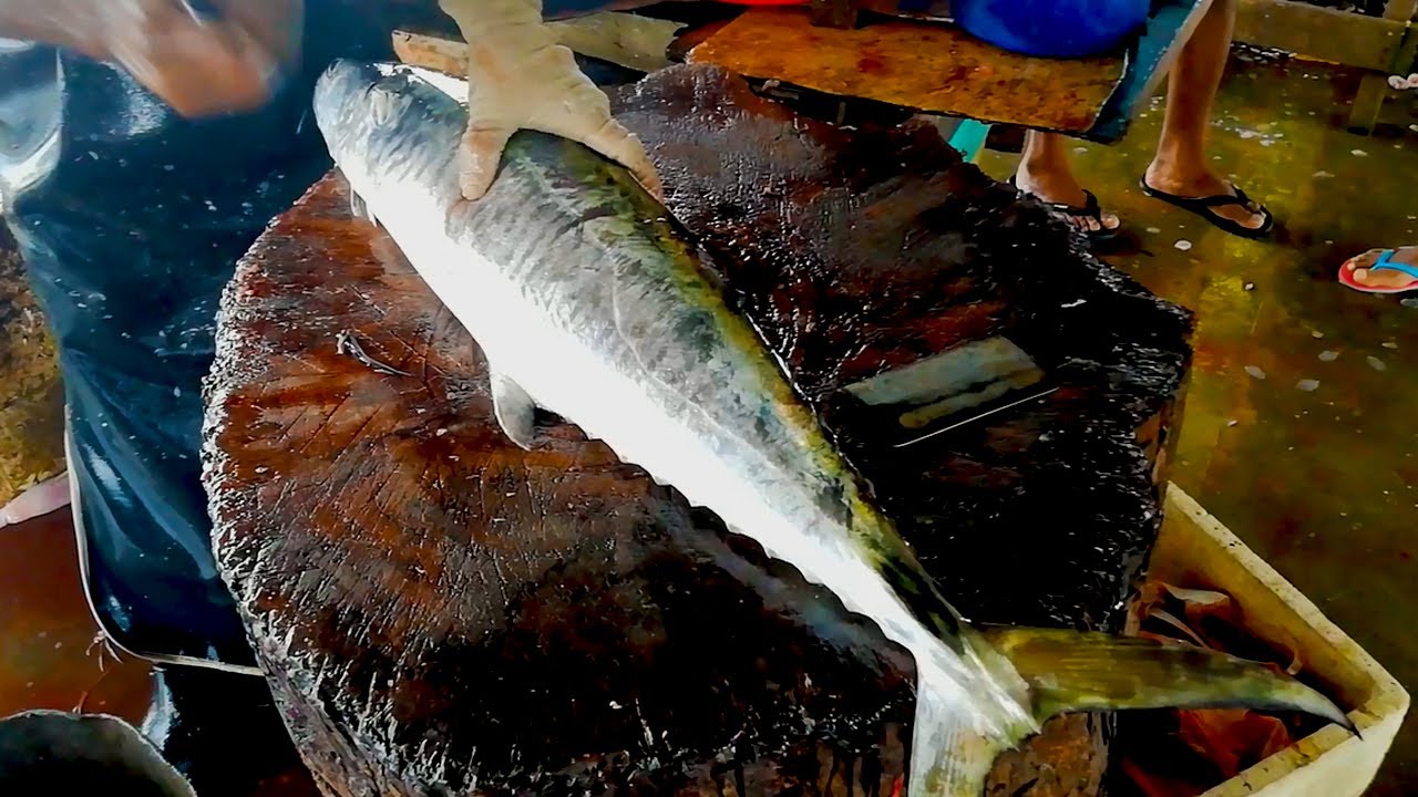 Seer Fish Slices | Fish Cutting Skills