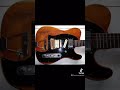 Confused Fender Tele Telecaster Mod Steve Morse