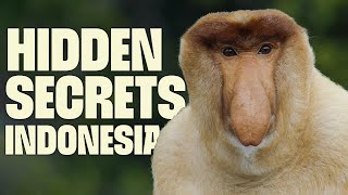 Download lagu Incredible Survival of Indonesian Wildlife | FULL DOCUMENTARY | Wild Indonesia | @UltimateNatureDocs mp3 Download lagu Incredible Survival of Indonesian Wildlife | FULL DOCUMENTARY | Wild Indonesia | @UltimateNatureDocs mp3