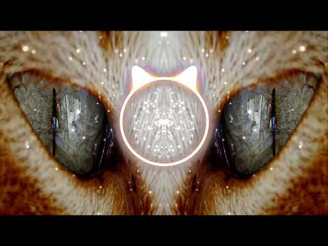 PJONAX x ctrsk x Rickfire - Moving On (no copyright)