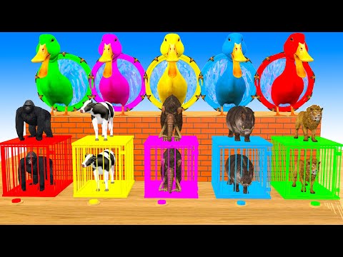 Cow Mammoth Elephant Gorilla Hippo Lion Guess The Right Key ESCAPE ROOM CHALLENGE Animals Cage Game