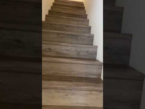 4400 Sylvia - Video 2 of 2