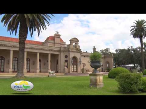 PROGRAMA RIO 4 AGRO 23 02 CANAL RURAL