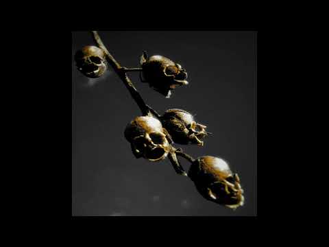 Dead On A Sunday and Denis Pauna