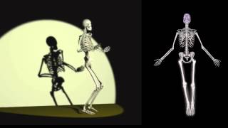 INDEPENDENT DANCER · Kalabrese's Cartography