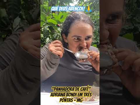 Adriana Bondi em Três Pontas no Sul de Minas: Panha de Café - Junho/2026