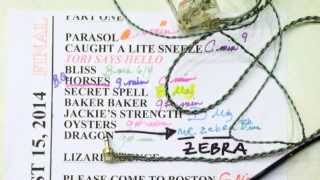 Tori Amos - Dragon (audio) - Boston, Aug 15, 2014