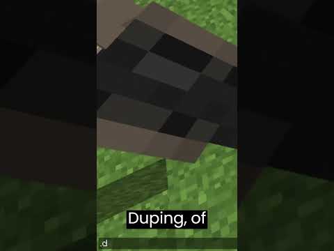 Epic Dupe Hack Exposes Minecraft P2W Servers!