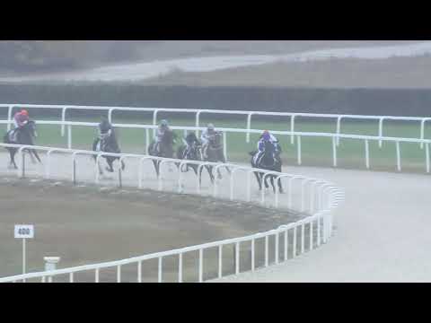 2019.11.10. 02. futam - NYERETLEN KÉTÉVESEK VERSENYE (IV.kat.) (szintetikus pálya)