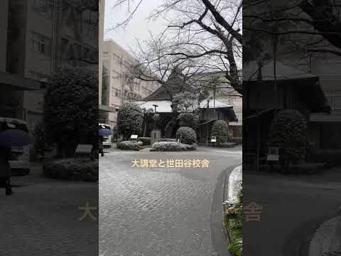 理工学科 雪 結構降ってる #理工学部 #国士舘大学