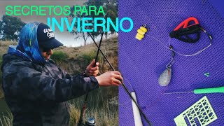 ¿Se pescan Carpas en Invierno? Consejos de Pesca en Invierno