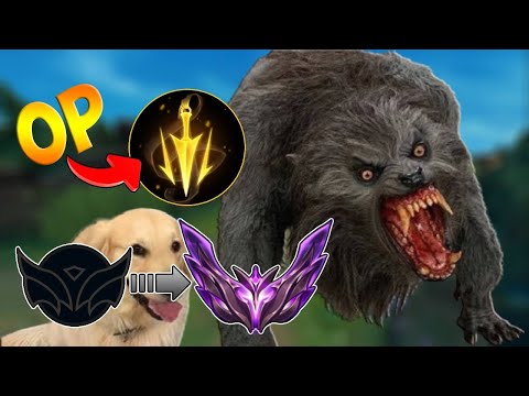 THIS IS HOW YOU STOMP YOUR LANE IN LOW ELO (Unranked to Master)