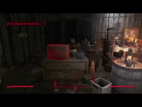 Fallout 4 Nuka World Ghost Girl