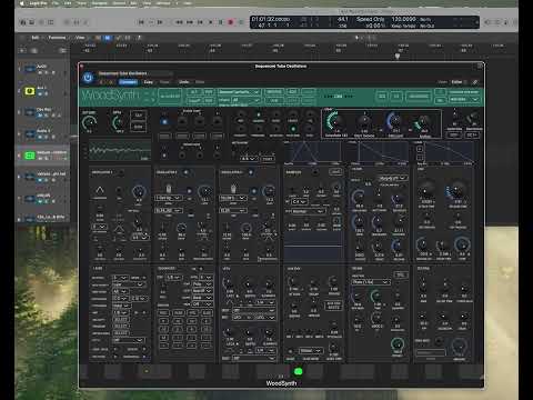 WoodSynth 4 0 Tube presets