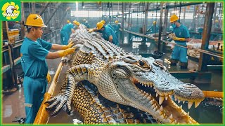 🐊 How Farmers Make $30.8 Million from Crocodile Meat and Skin | Processing Factory