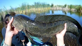 Ссылка