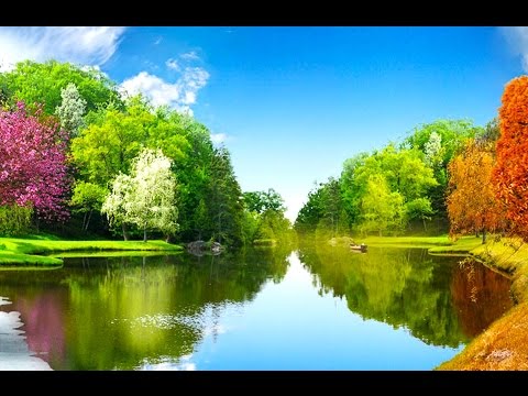 Seasons ♫ Omar Akram - Desert Flower ♫