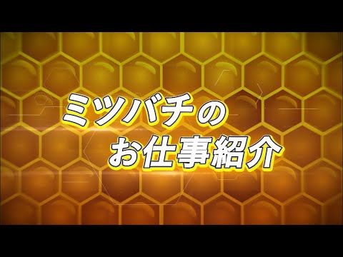 إߥĥХ ߥ졼٥Ҳư