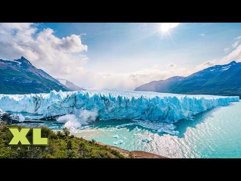 Wunderwelt Arktis: Eisbären & das ewige Eis | Naturdoku