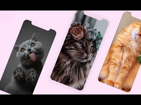 Cute Cat Wallpaper video thumbnail
