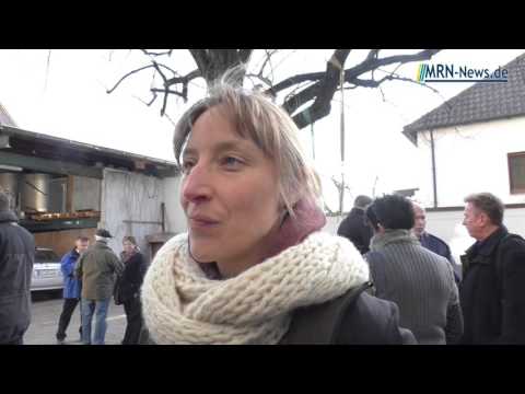 Rhein-Pfalz-Kreis - Weinwanderung im Landratswingert