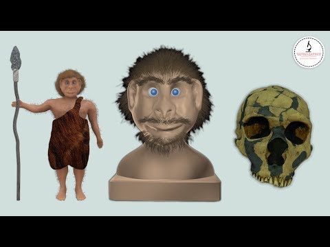 ПОЧЕМУ ВЫМЕРЛИ НЕАНДЕРТАЛЬЦЫ? WHY THE NEANDERTHALS DIED OUT?