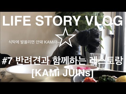 #7 반려견과 함께하는 레스토랑 [KAMi JUINs]