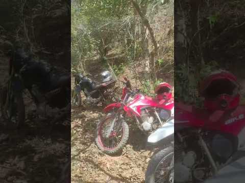 trilha em Ribeirão do largo #trilhasradicais #automobile #smartphone #caminhodaverdade #smartphone