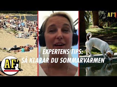 Expertens tips – Så klarar du sommarvärmen
