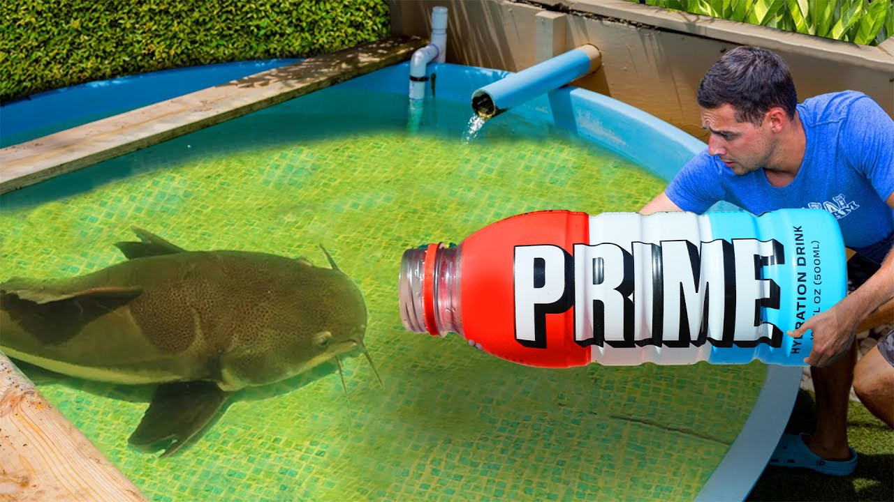 I Caught the Pond Monster In a PRIME Bottle...