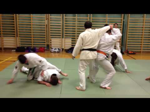 Goshindo Training Erwachsene 10.5.2016